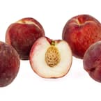 Nectarine Tree