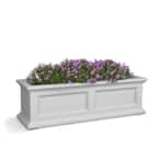 potted lavender plant Lavender, Lavendula angustifolia, Live Plant in 3–4-inch Pot, Provence –  Smoke Camp Crafts main image 1