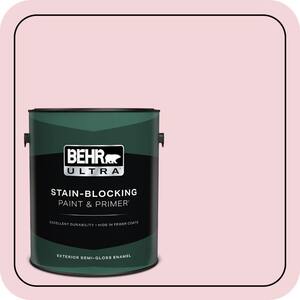 Exterior Paint