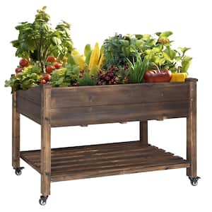 Garden Center