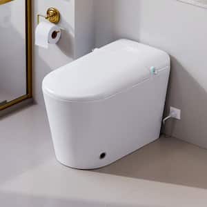 Bidet Toilets