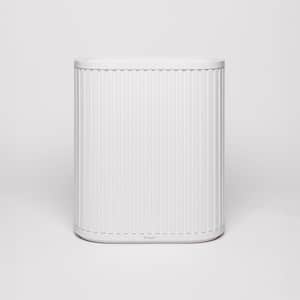Personal Air Purifiers