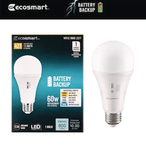 Wattage Equivalence: 60 Watt