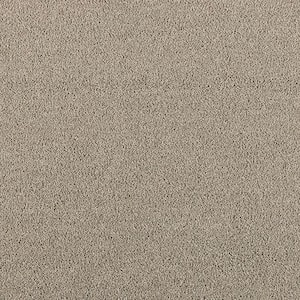 Home Decorators Collection