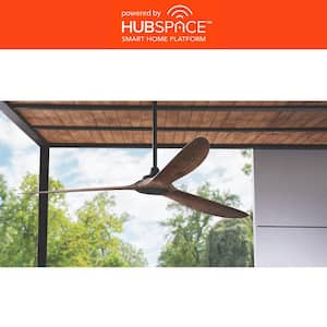 Home Decorators Collection