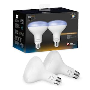 LED Light Bulbs