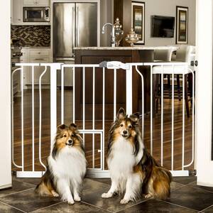 Dog Gates