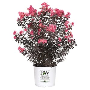Flowering
