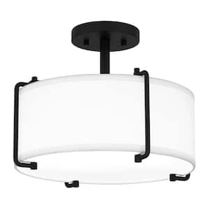 Flush Mount Ceiling Lights