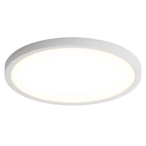 Flush Mount Ceiling Lights