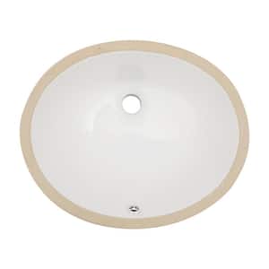 Bathroom Sink Left to Right Length (In.): 18 - 19.99