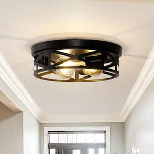 Flush Mount Ceiling Lights