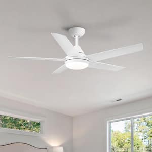 Ceiling Fans