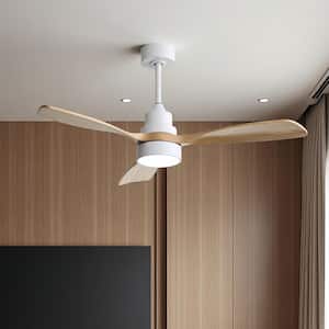 Ceiling Fans