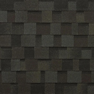 Black in Roof Shingles