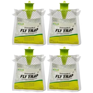 Fly in Insect Traps