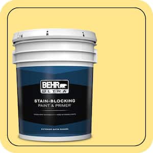 BEHR ULTRA