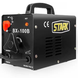 Maximum amperage output (amps): 100