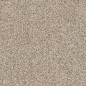 Beige in Carpet