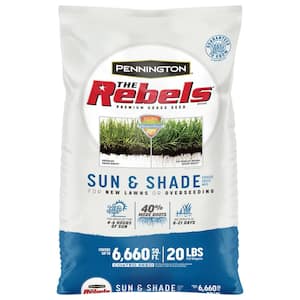 Sun and Shade in Grass Seed