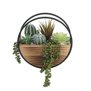 Artificial Succulents