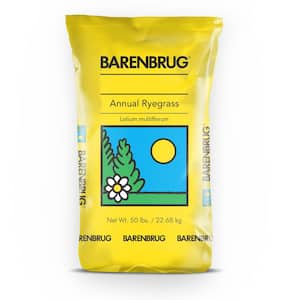 Barenbrug