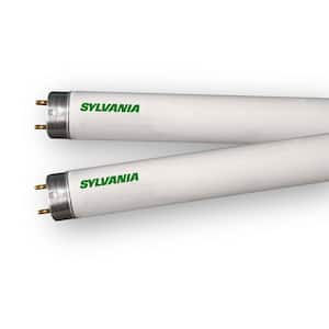 Fluorescent Tube Lights