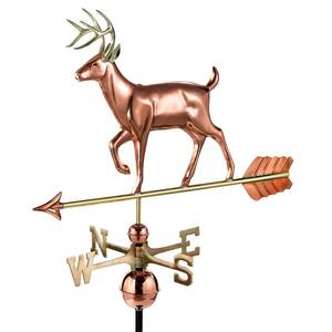 Deer