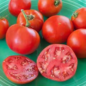 Non-GMO