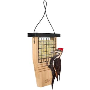 Bird Feeders