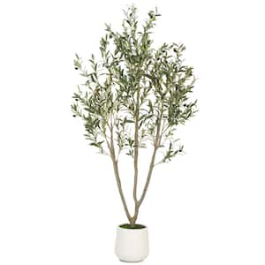 Olive in Artificial Trees