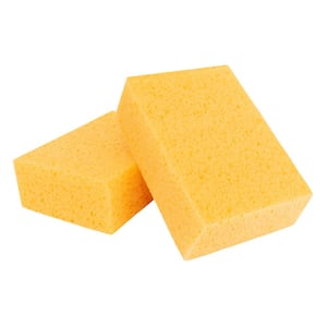 Sponge