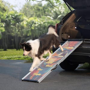 Dog Ramps