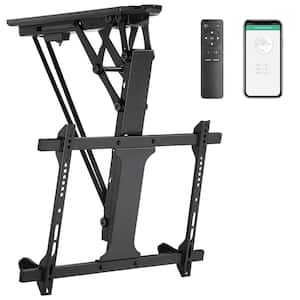 Motorized in TV Mounts