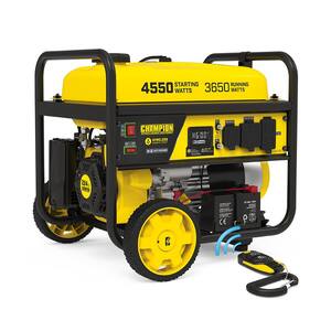 Single Fuel - Portable Generators - Generators - The Home Depot