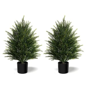 Product Height (ft.): 2 ft