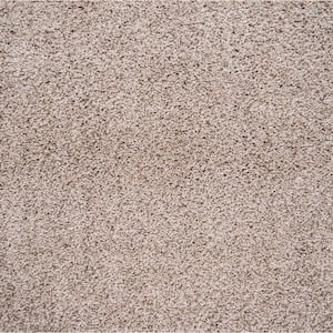 Peel and Stick in Carpet Tile