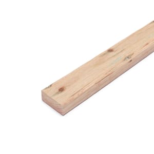 Lumber Thickness x Width (in.): 2 in x 4 in