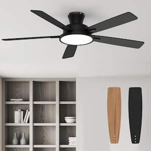 Ceiling Fans With Lights