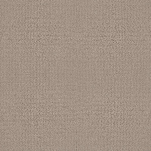 Home Decorators Collection
