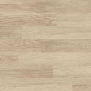 Home Decorators Collection