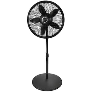 Black in Fans