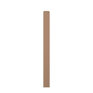 Poplar