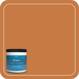 BEHR PREMIUM PLUS