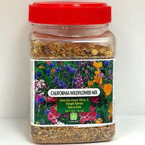 Flower Seeds