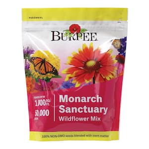 Flower Seeds