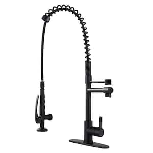 Pull Down Spray Wand
