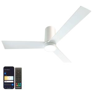 Ceiling Fans