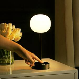 LED