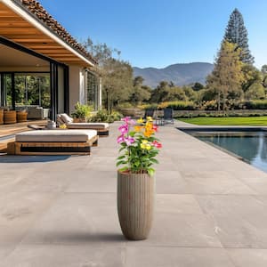 Outdoor in Plant Pots